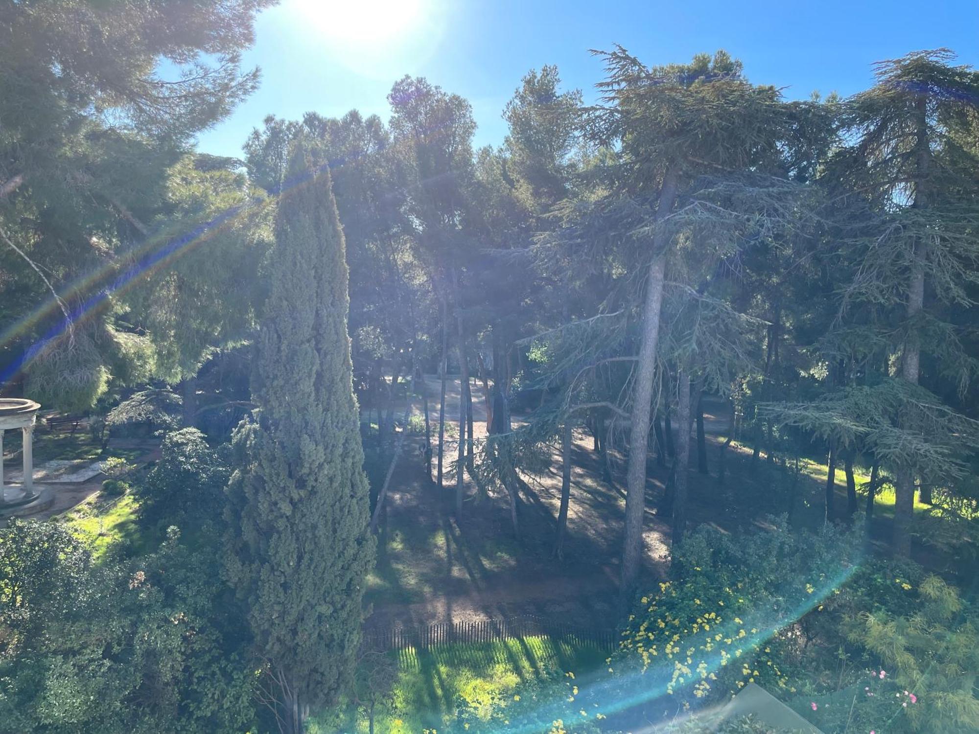 Bandol - Plage De Renecros מראה חיצוני תמונה